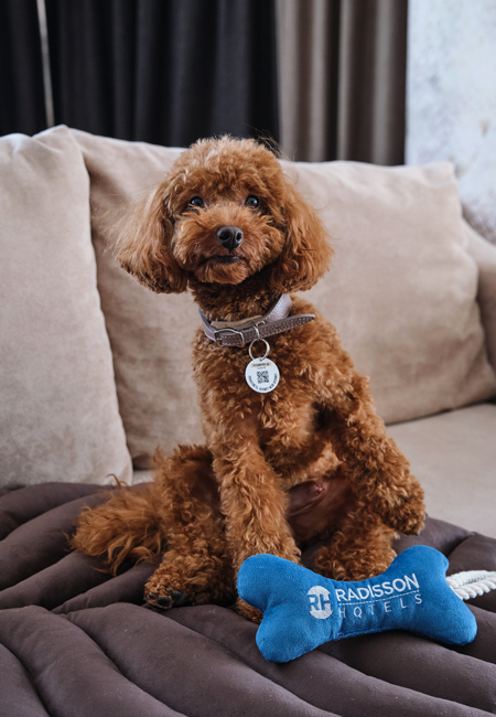 ValtaPetProducts_f9_R_3_2025.png ValtaPetProducts_f9_R_3_2025.png